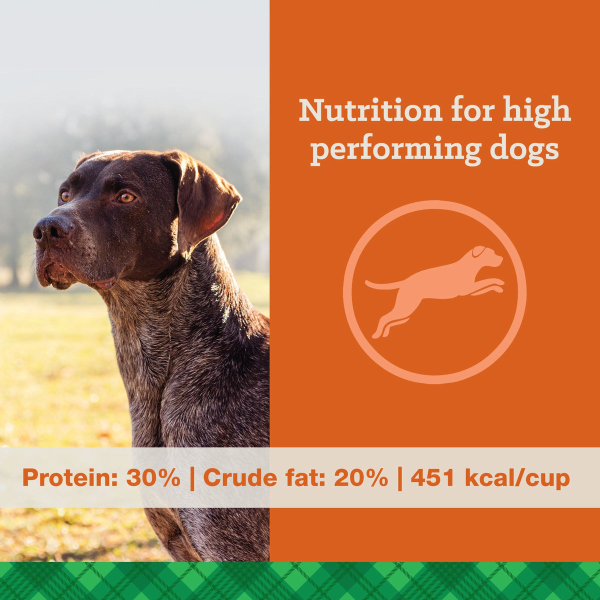 True dog 2025 dog food