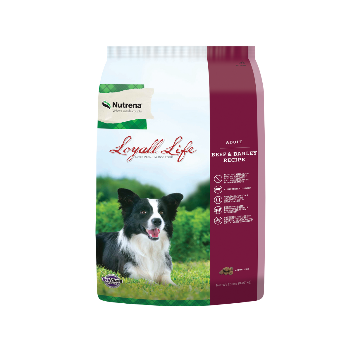 Nutrena dog shop food