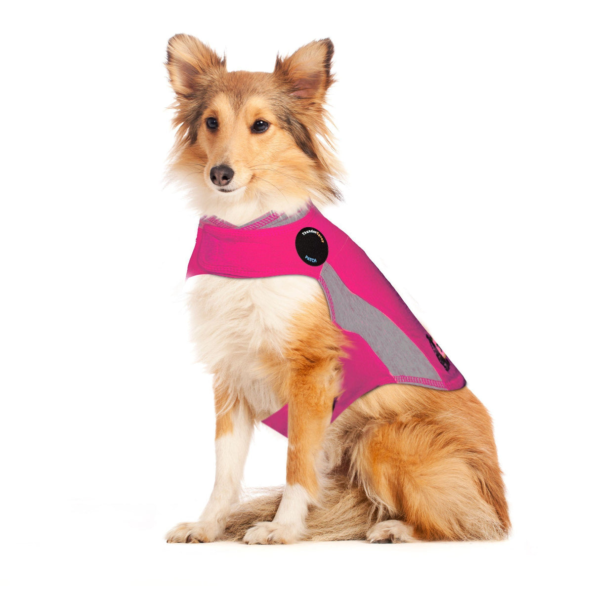 Thunder coat dog discount