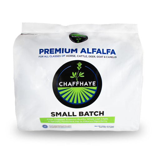 Chaffhaye Alfalfa