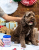 Bocce's Bakery Nutcracker Crunch Soft & Chewy Treats Tin