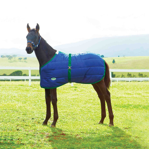 WEATHERBEETA 420D FOAL STANDARD NECK MEDIUM NAVY/HUNTER NEWBORN 28
