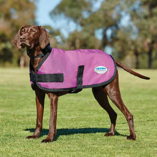 WEATHERBEETA COMFITEC CLASSIC DOG COAT PINK 26