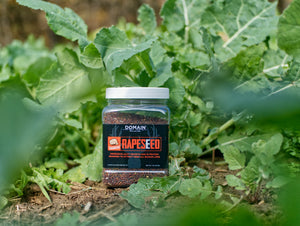 Domain Outdoor Pounder Rapeseed Foot Plot Seed