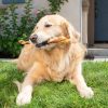 Barking Buddha Braided Bully Stick 12″ (3 Pack) For Large To XL Dogs / Power Chewers