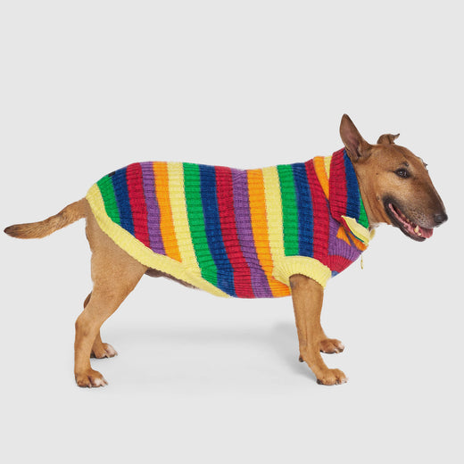 Canada Pooch Over The Rainbow Sweater for Dogs