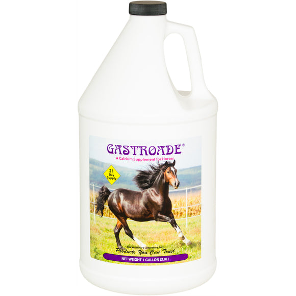 Cox Veterinary Laboratory Gastroade Calcium Supplement