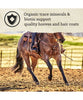 Nutrena Triumph Triple 10 Textured Horse Feed