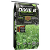 Backwoods DIXIE 6