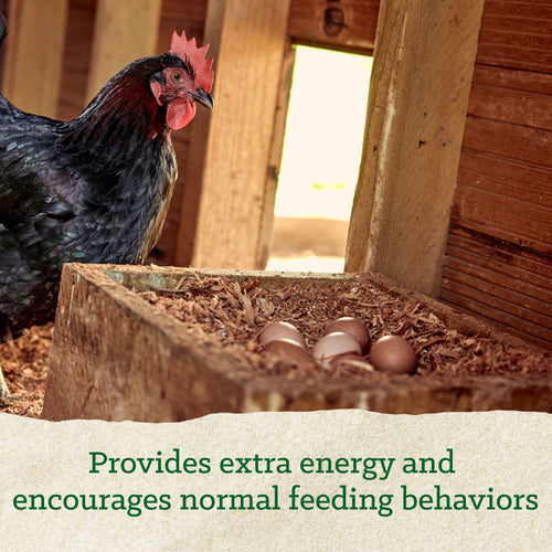 Nutrena® NatureWise® Scratch Grains