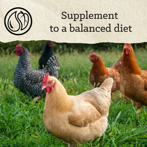 Nutrena® NatureWise® Scratch Grains