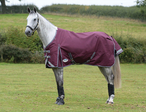 WeatherBeeta ComFiTec Plus Dynamic II Standard Neck Lite