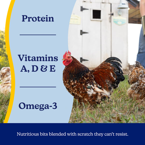 Nutrena® NatureWise® TidBits™ Healthy Egg Poultry Treats