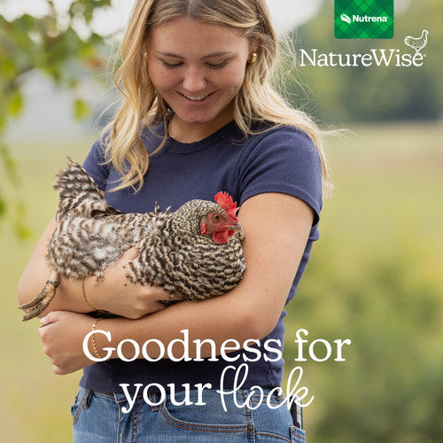 Nutrena® NatureWise® TidBits™ Healthy Egg Poultry Treats