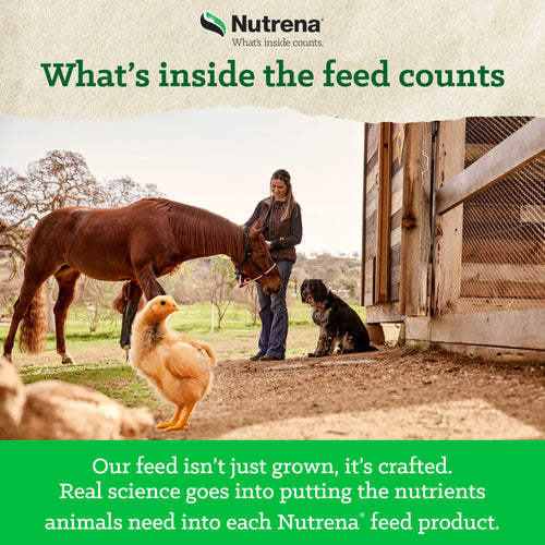 NatureWise® Chick Starter Grower 18% Protein Crumble Medicated