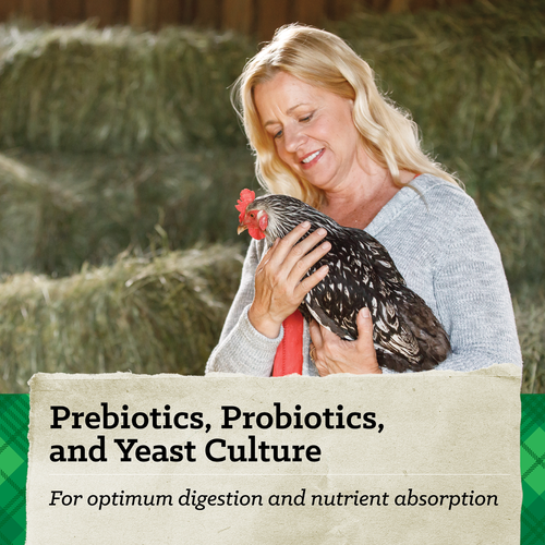 NatureWise® 17% Protein Layer Pellet Poultry Feed