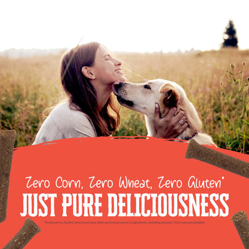 Wholesomes Rewards Chewy Beef Mini Sticks For Dogs