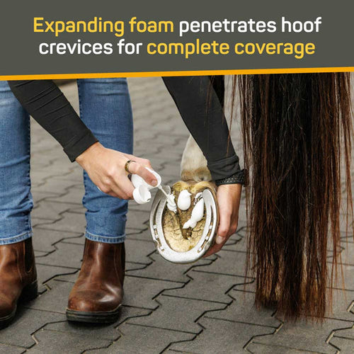 Asorbine Silver Honey® Rapid Hoof Care Thrush Foam