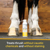 Asorbine Silver Honey® Rapid Hoof Care Thrush Foam
