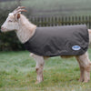 WeatherBeeta Goat Coat