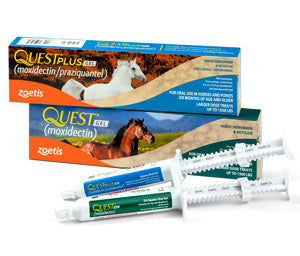 Zoetis Quest Horse Dewormer Gel Waxhaw NC Mane Street Horse